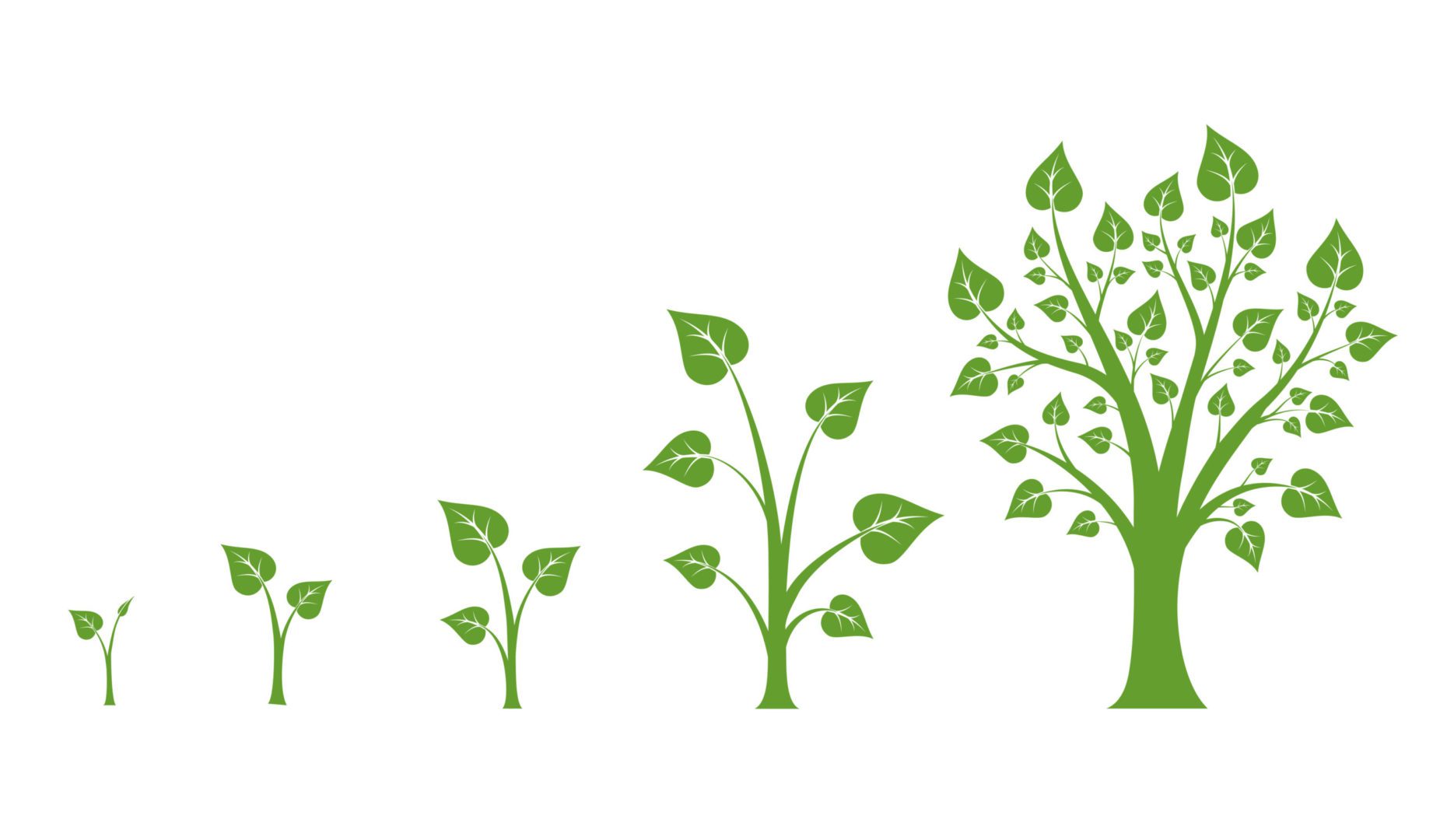 Do You Want a Strategy Guaranteed to Help You Grow?